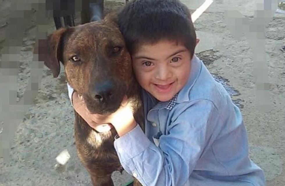 San Juan: envenenan y matan al perro guía de un niño con Síndrome de Down