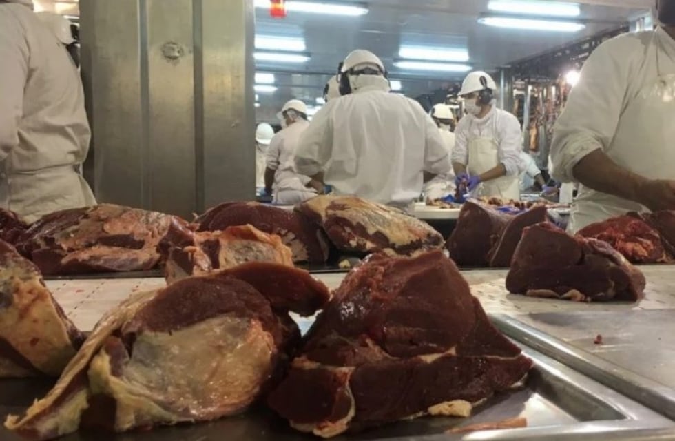 Buscan reactivar el Frigorífico de Feliciano