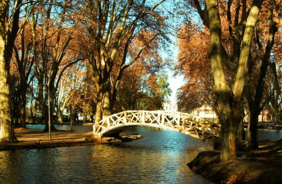 Video: una multitud en el Parque Sarmiento