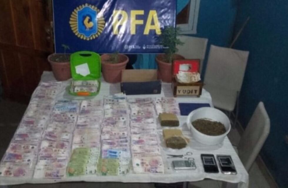 Desbarataron un banda narco en San Luis, que tenía 2 mil dosis de marihuana y casi 80 de cocaína