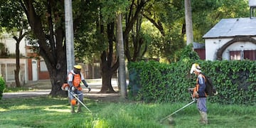 El Municipio de Rosario aumentó las cuadrillas para realizar desmalezamiento después de cientos de denuncias\u002E (Prensa Municipio)