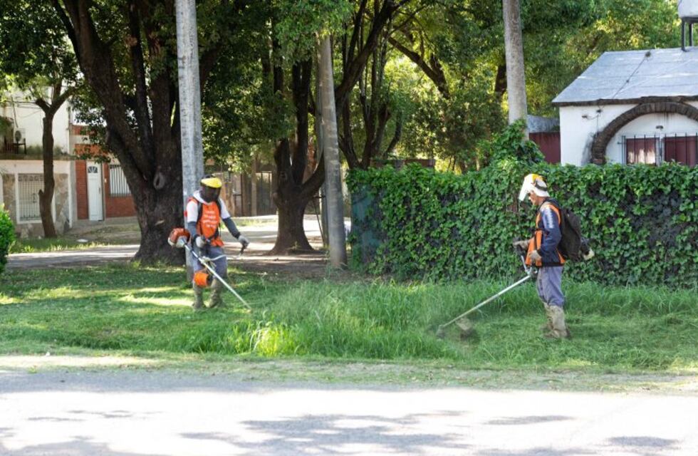Tras cientos de denuncias el Municipio encaró un operativo de desmalezado