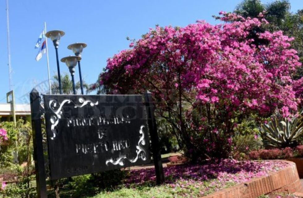 Puerto Rico no permitirá descargar productos dentro de la ciudad