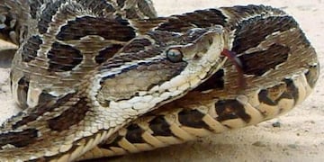 Imagen Ilustrativa\nCredito: Web