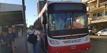 Colectivo en Iguazú