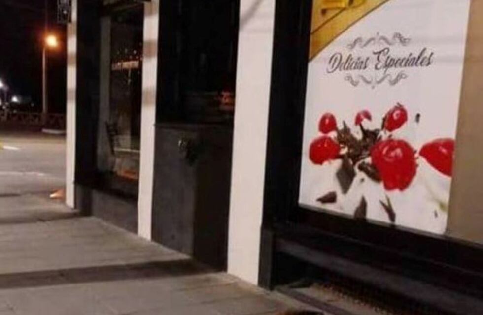 Un lobito marino se paseó por las calles céntricas de Puerto Madryn