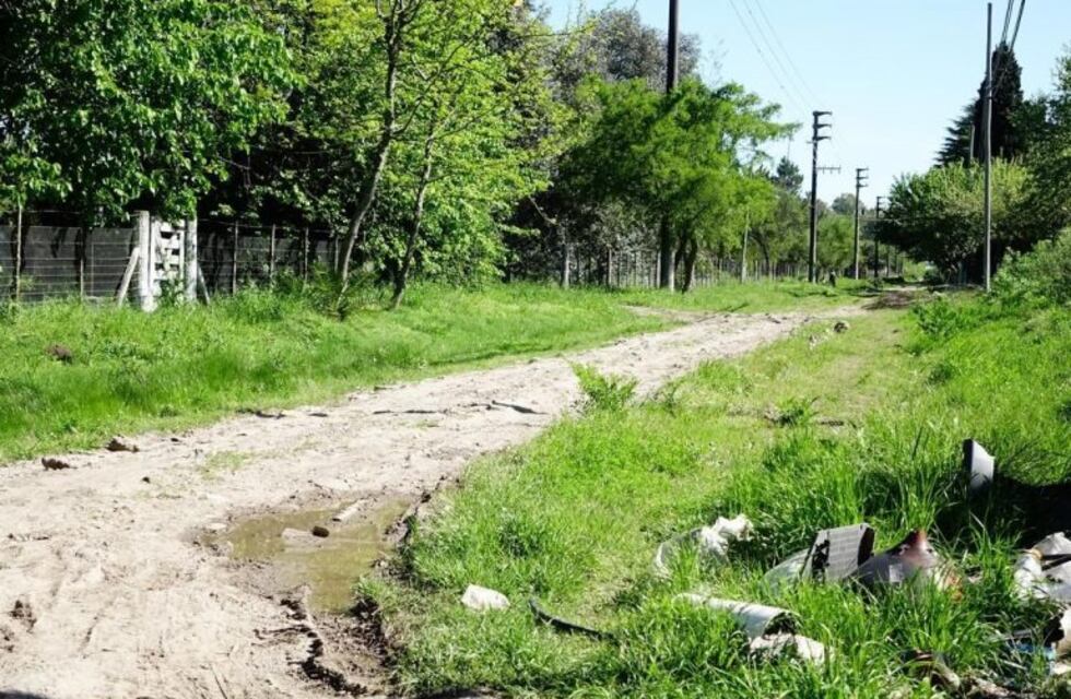 Le dio la plata del "Ratón Pérez" a los ladrones para que no lastimen a su abuela