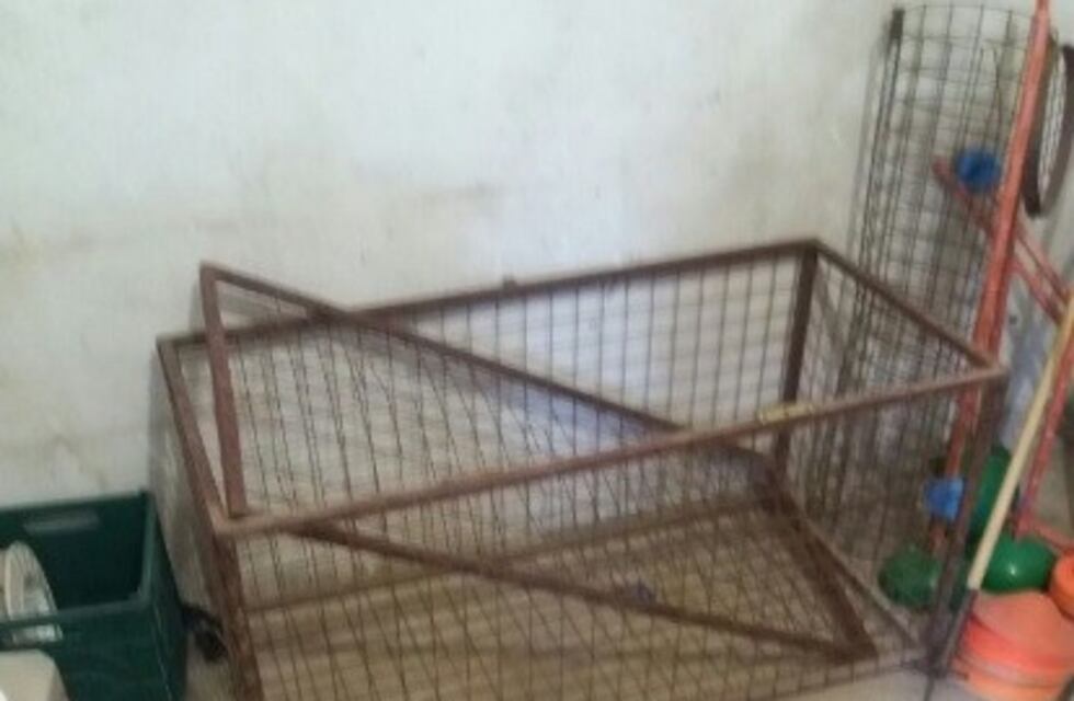 Delincuentes vaciaron la utilería del club Argentino de Rosario