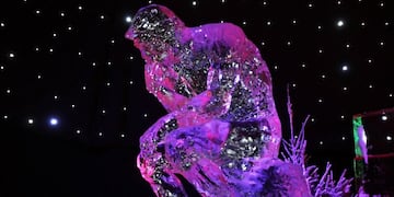 A picture taken on November 23, 2009 in Paris shows an ice sculpture featuring the \