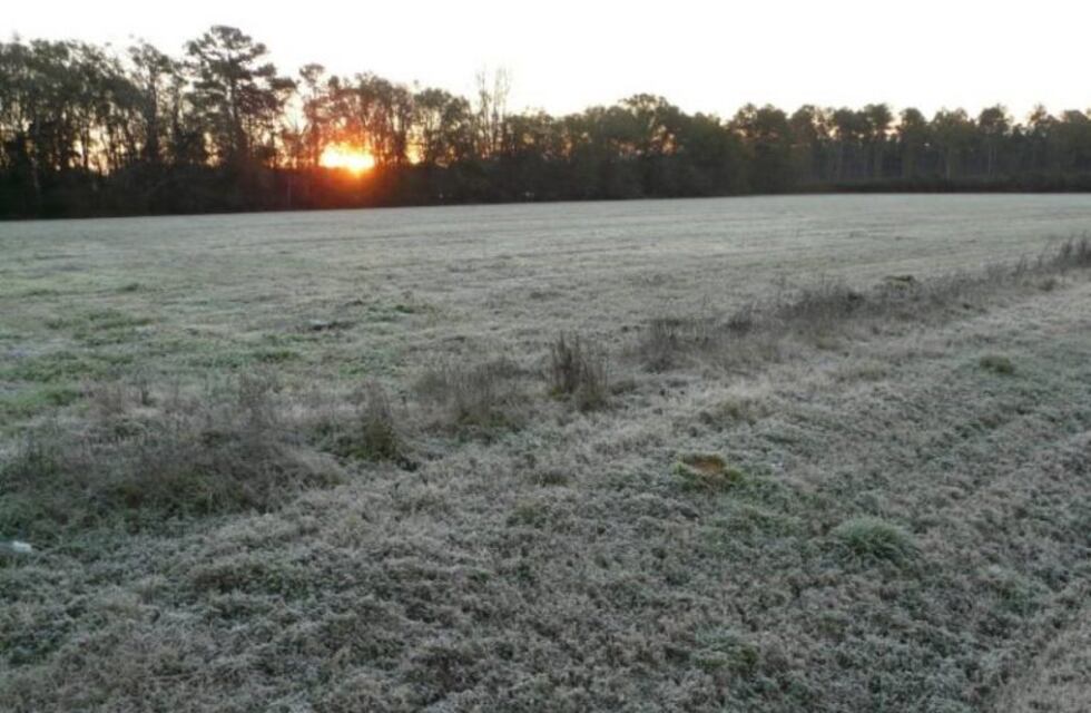 Miércoles con frío y heladas en la ciudad de Marcos Juárez