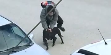 Maltrato Animal Ushuaia