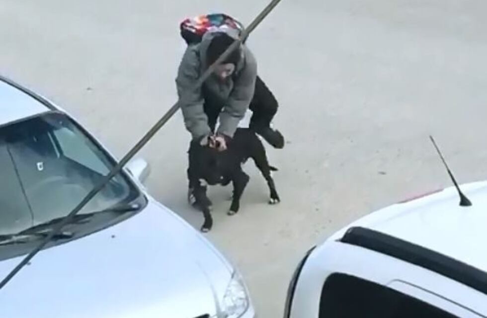 Indignante: un sujeto fue filmado golpeando salvajemente un perro en la vía publica