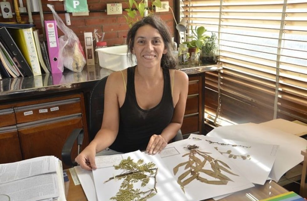 Una científica vivió 12 años estudiando las plantas medicinales usadas por los wichí