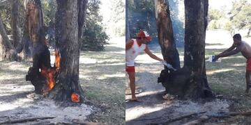 Incendio arbol concordia