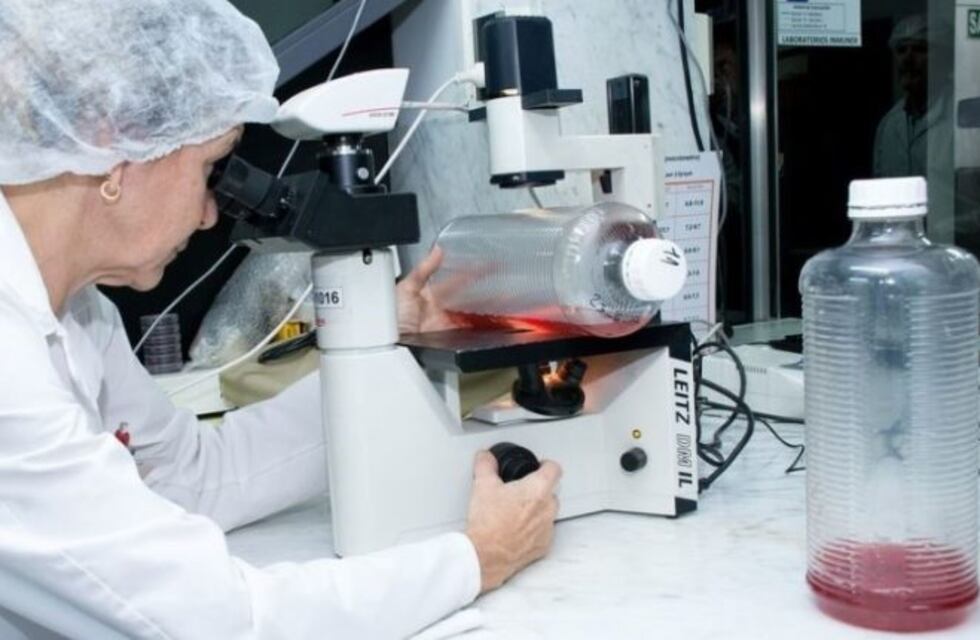 Lanzan la primera vacuna hecha en el país contra una enfermedad infecciosa aviar