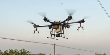 Drone en el campo
