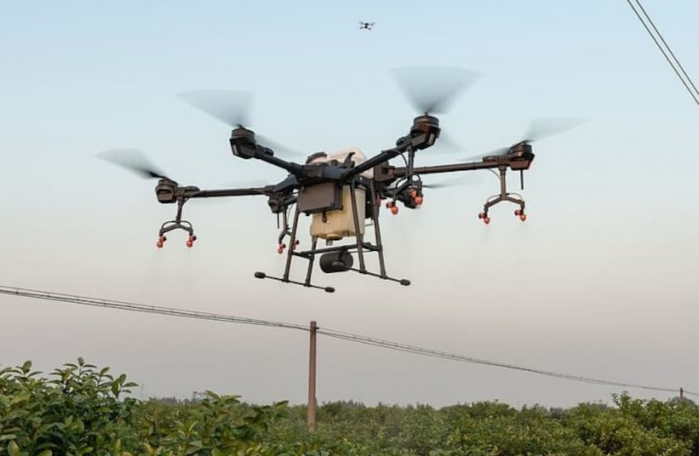 Drones en la producción frutal