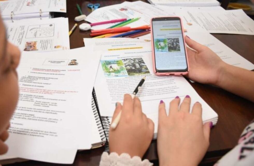 Educar en cuarentena: así vivieron los docentes mendocinos el cambiar el aula por lo virtual