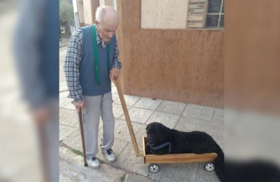 No podía comprarle un andador para su perro y le fabricó un carro