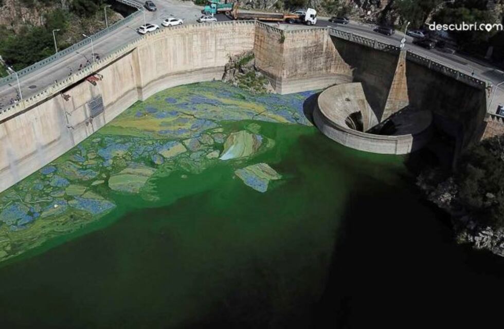 Video: verde, así está el lago San Roque a fin de enero