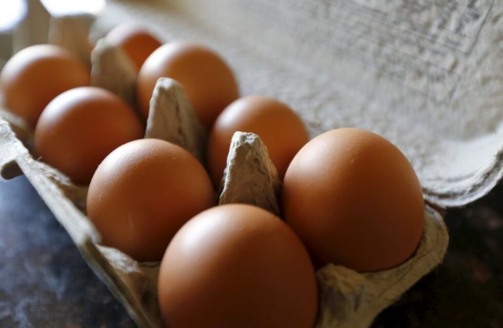 Córdoba: hay preocupación por los incrementos en el precio de los huevos