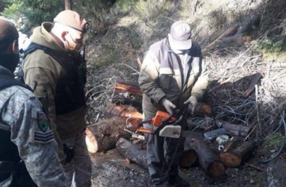 Secuestraron motosierras a taladores furtivos en cercanías al cerro Otto