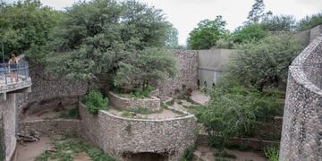 Zoo de Cba