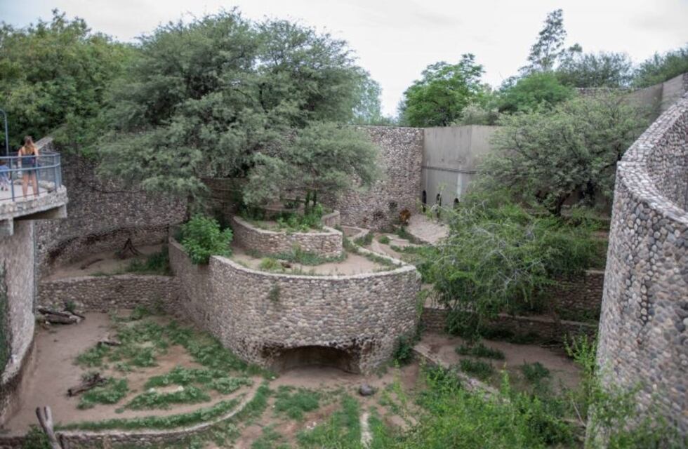 La Justicia solicitó un informe  sobre el estado de los animales y las condiciones ambientales del Zoo de Córdoba