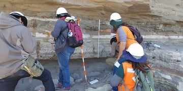 Río Negro posee uno de los más importantes yacimientos de huellas de América del Sur