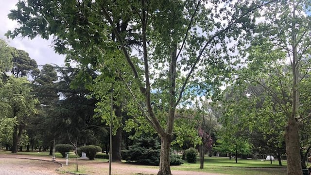 parque municipal azul