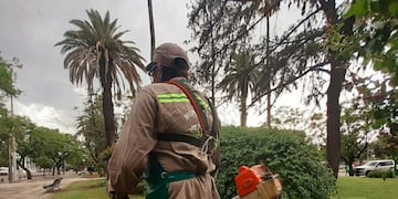 Municipalidad pide que vecinos corten el pasto