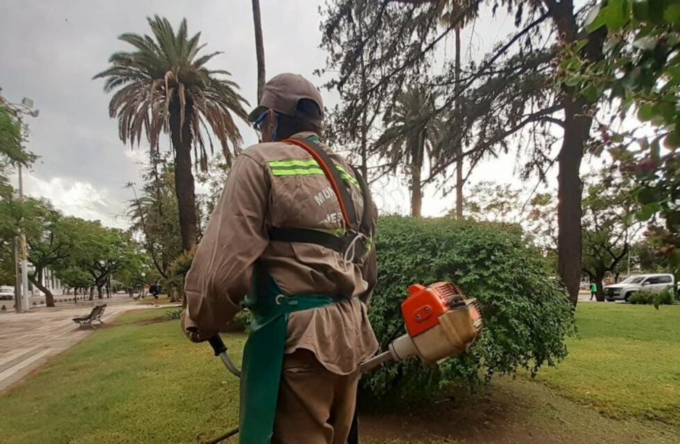 Jesús María: piden a los vecinos que corten el pasto