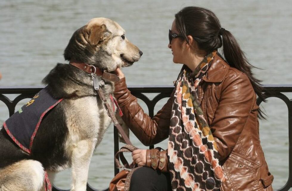 Se multarán a las personas que no junten los desechos de sus mascotas