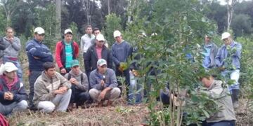 Tareferos en capacitación realizada en San Pedro\u002E (irigoyeninforma)