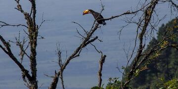 Secretaría de Estado y Comunicación Pública