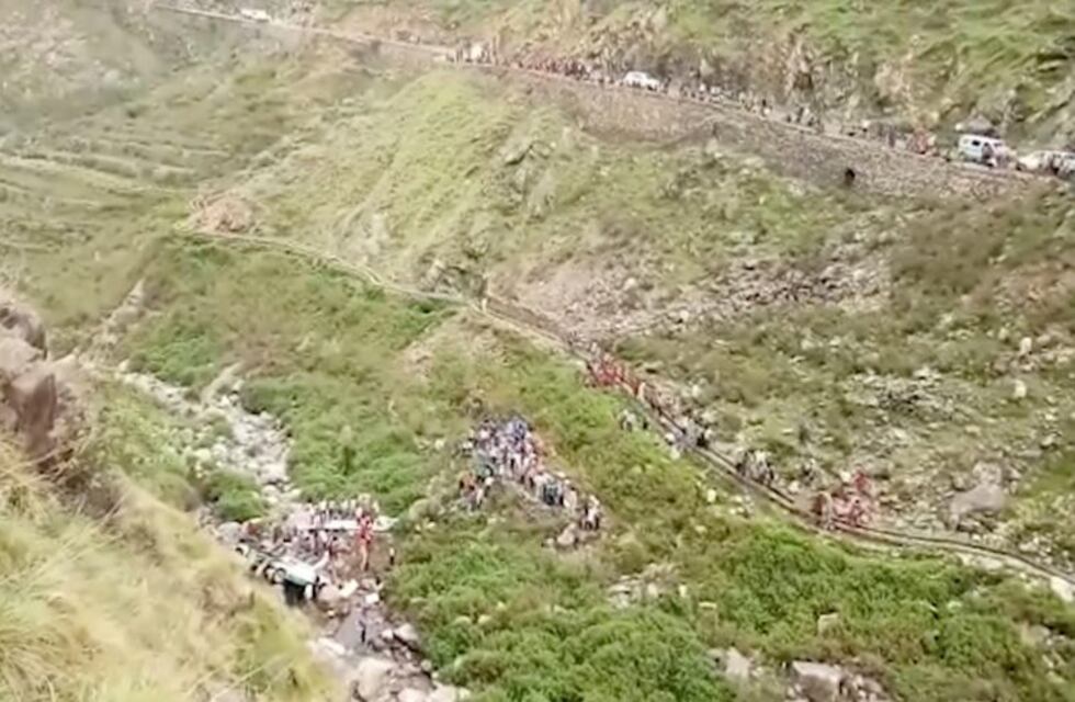 El tremendo video de perros y un ciervo cayendo al vacío durante una cacería