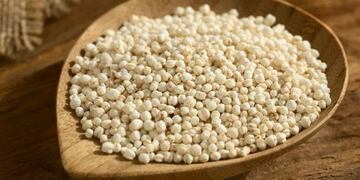 Quínoa, alimento en comedores escolares