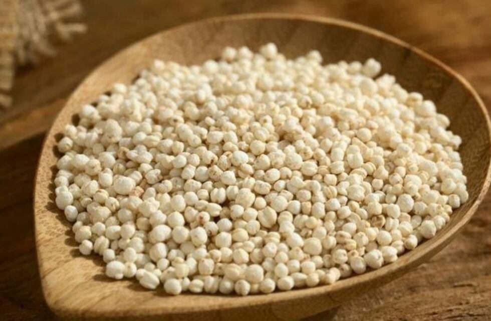 Las escuelas incorporan la Quínoa a la alimentación diaria