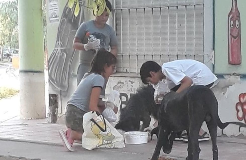 La foto viral de tres chicos azuleños dándole de comer a perros de la calle