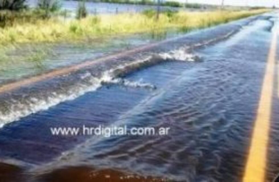 Por el desborde del río Quinto peces cruzan la ruta 27, cerca de Jovita