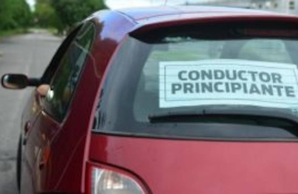 Conductores que saquen el carnet por primera vez deberán identificarse como principiantes