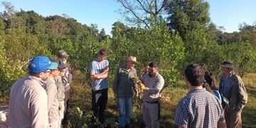 San Pedro: brindan charlas a productores sobre técnicas de cosecha para aumentar rendimiento.