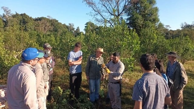 San Pedro: brindan charlas a productores sobre técnicas de cosecha para aumentar rendimiento.