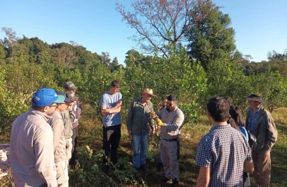 San Pedro: brindan charlas a productores sobre técnicas de cosecha para aumentar rendimiento