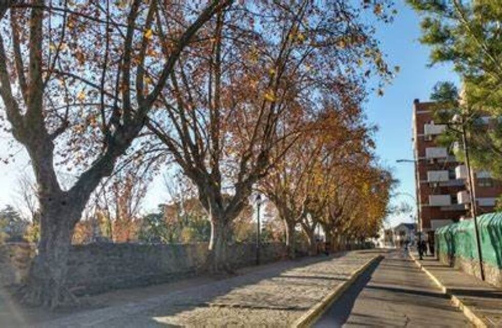 Miércoles polar en Alta Gracia