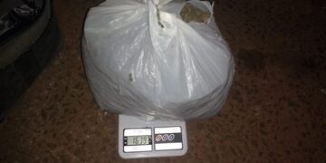 1,639 kilogramos de marihuana en una bolsa de residuos\u002E