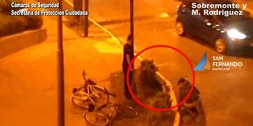 Rescate de perro en San Fernando\u002E