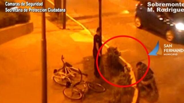 Rescate de perro en San Fernando\u002E