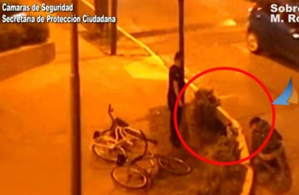 Rescataron a un perro ciego que quedó atrapado en una boca de tormenta