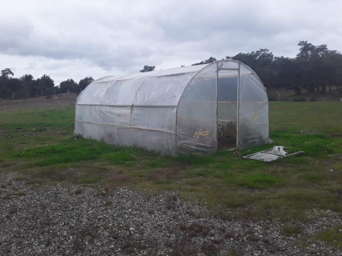 Huerta de la escuela 45